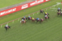 Horse race in progress on a grassy track with jockeys in colored silks; red advertising boards along the railing.