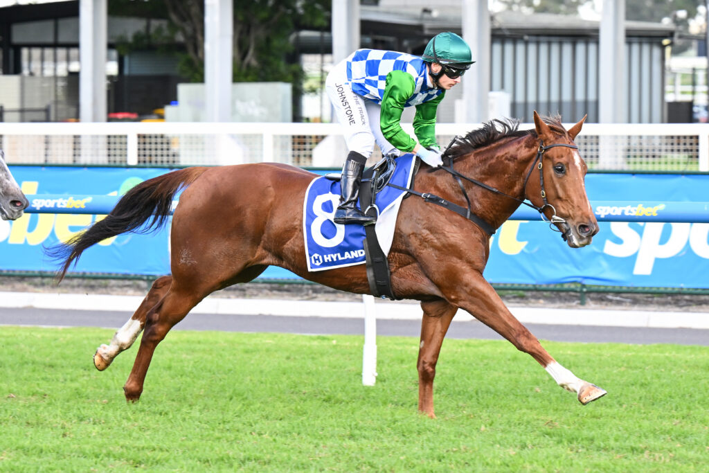 /r6/ | Just Horse Racing Jockey in green sleeves and blue-and-white checkered silks riding a brown racehorse mid-gallop on a track.