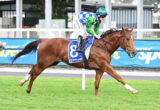 Jockey in green sleeves and blue-and-white checkered silks riding a brown racehorse mid-gallop on a track.