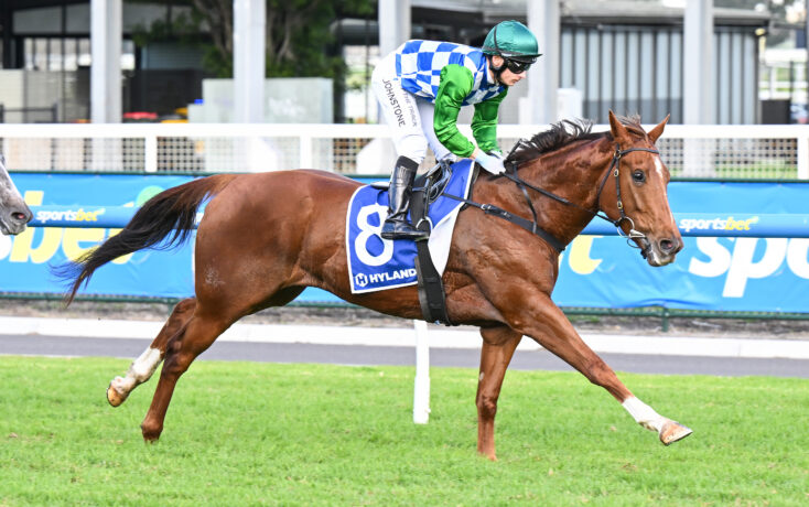 Jockey in green sleeves and blue-and-white checkered silks riding a brown racehorse mid-gallop on a track.