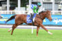 Jockey in green sleeves and blue-and-white checkered silks riding a brown racehorse mid-gallop on a track.