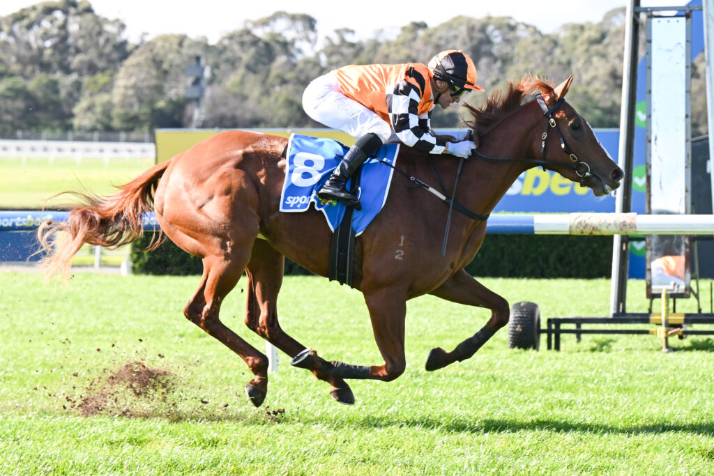 French Accord | Just Horse Racing Jockey in orange and black silks riding a horse as it jumps over a hurdle on a grassy race track.