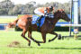 Jockey in orange and black silks riding a horse as it jumps over a hurdle on a grassy race track.