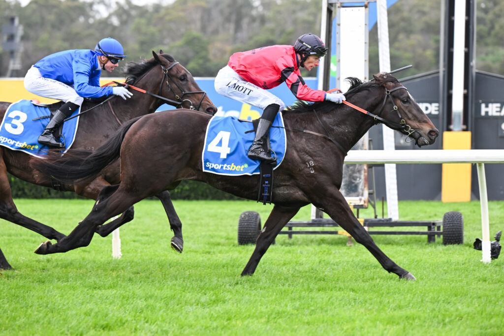 /r1/ | Just Horse Racing Two jockeys in blue and red silks ride dark horses neck-and-neck on a grassy racetrack, numbers 3 and 4 visible on their saddles.