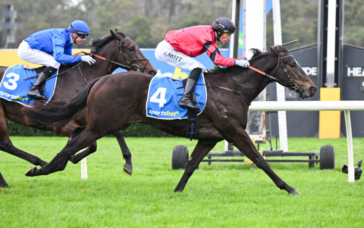 Two jockeys in blue and red silks ride dark horses neck-and-neck on a grassy racetrack, numbers 3 and 4 visible on their saddles.