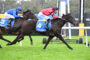 Two jockeys in blue and red silks ride dark horses neck-and-neck on a grassy racetrack, numbers 3 and 4 visible on their saddles.