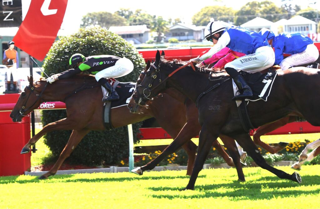 apex predator 3 | Just Horse Racing Horse race finish: jockeys and their mounts sprinting toward the post along a red rail track on green grass.