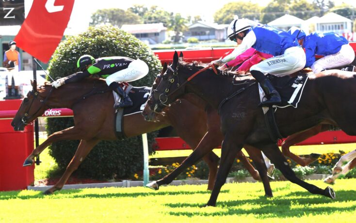 Horse race finish: jockeys and their mounts sprinting toward the post along a red rail track on green grass.