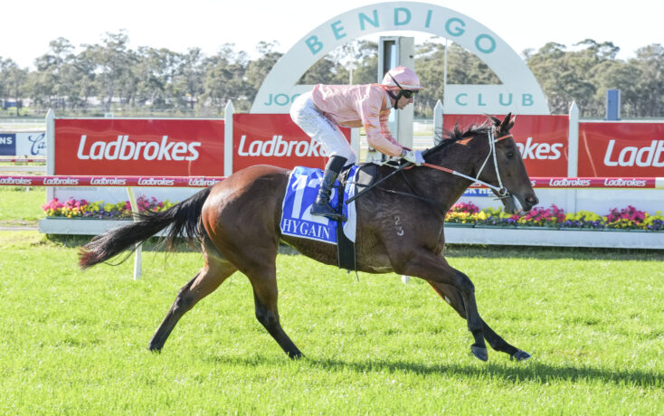 Jockey in pale pink silks riding a dark brown horse at a track, with Ladbrokes banners in the background.