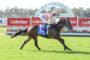 Jockey in pale pink silks riding a dark brown horse at a track, with Ladbrokes banners in the background.