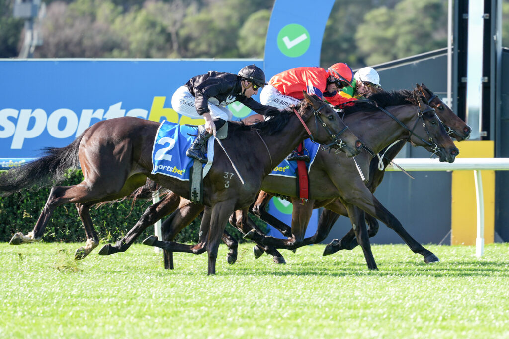 Thoroughbred horses sprinting in a race with jockeys leaning forward, blue sponsor banner in the background.