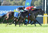 Thoroughbred horses sprinting in a race with jockeys leaning forward, blue sponsor banner in the background.