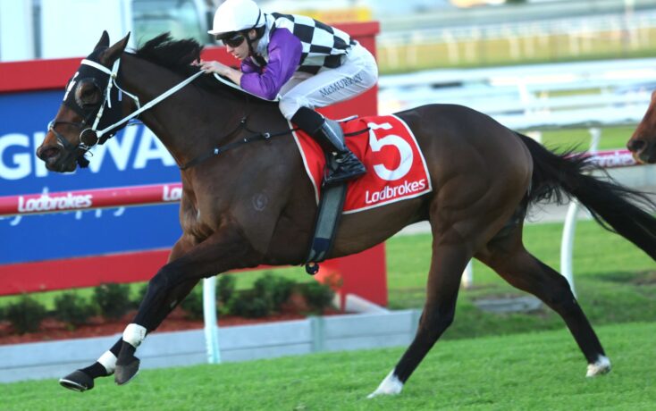 Jockey leaning forward on a dark brown horse jumping a hurdle at a racecourse, red saddlecloth with number 5 and Ladbrokes branding visible with a blue barrier in background.