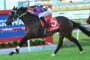 Jockey leaning forward on a dark brown horse jumping a hurdle at a racecourse, red saddlecloth with number 5 and Ladbrokes branding visible with a blue barrier in background.