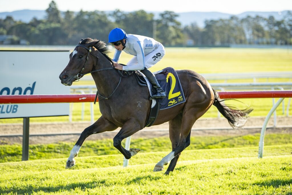 2324058Funshow | Just Horse Racing