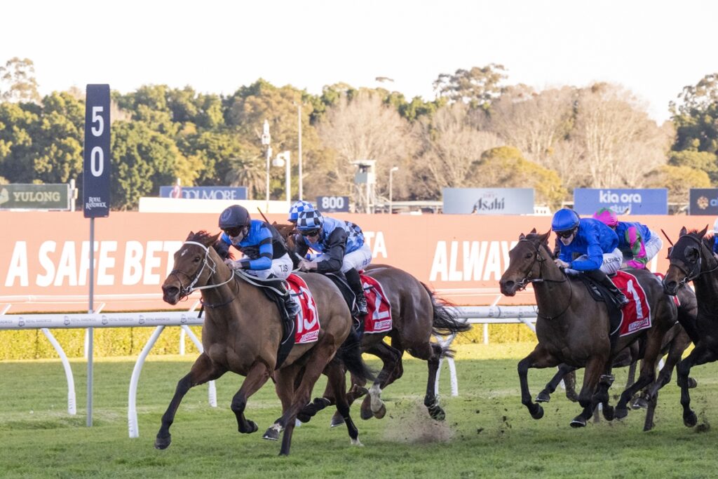 2342184.jpg | Just Horse Racing