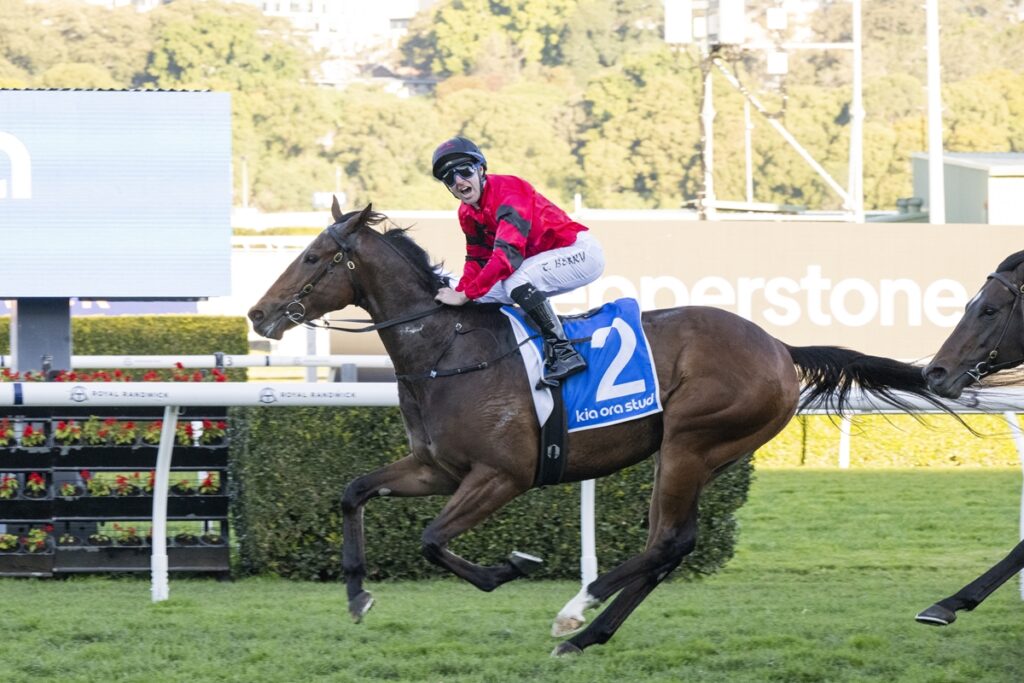 2342212.jpg | Just Horse Racing