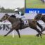 2345491.jpg | Just Horse Racing