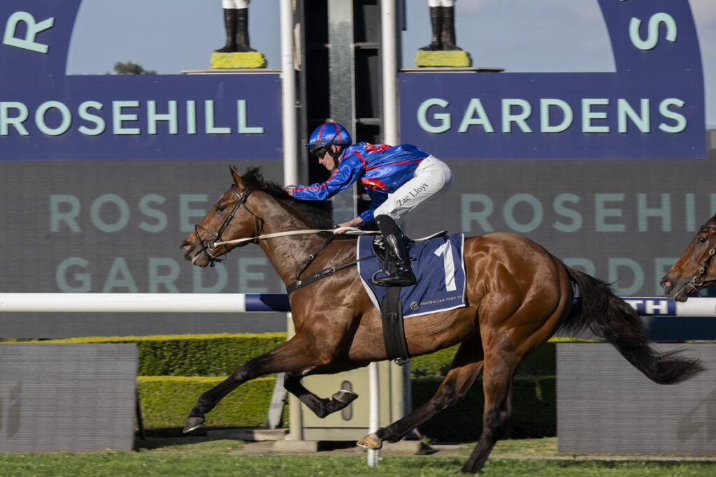 2352484.jpg | Just Horse Racing