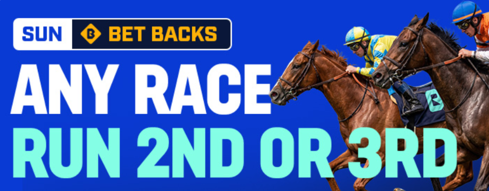 Any Race Sunday | Just Horse Racing