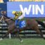 2349177.jpg | Just Horse Racing