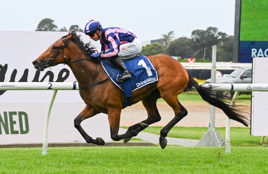 Aye Aye Captain | Just Horse Racing