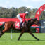 BUCCLEUCHV9ABUCCLEUCH152 | Just Horse Racing