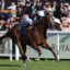 Bacio | Just Horse Racing