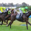 DARKBONEEV9ADARKBONEE812 | Just Horse Racing