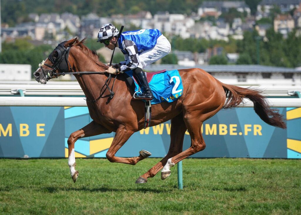 Defiantly | Just Horse Racing