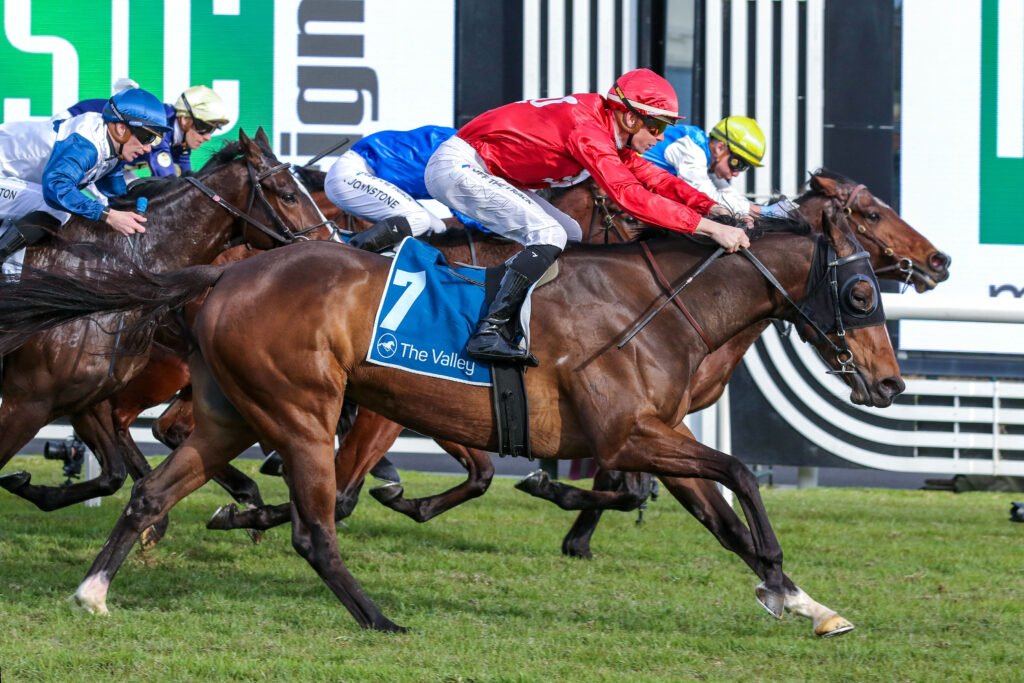 FLYERV9AFLYER5FLYER5 | Just Horse Racing