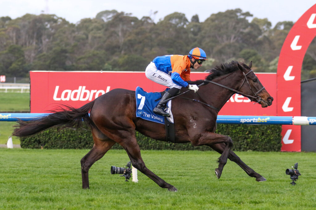 GOLD COAST BELLEV9AGOLD COAST BELLE899 | Just Horse Racing