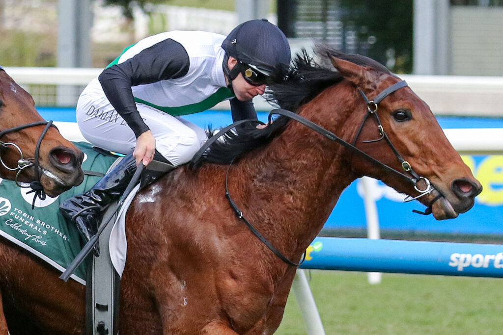 Hard Kick,Vain Stakes,Group 3_15-8-2026_WIN_Caulfield_5__408 | Just Horse Racing