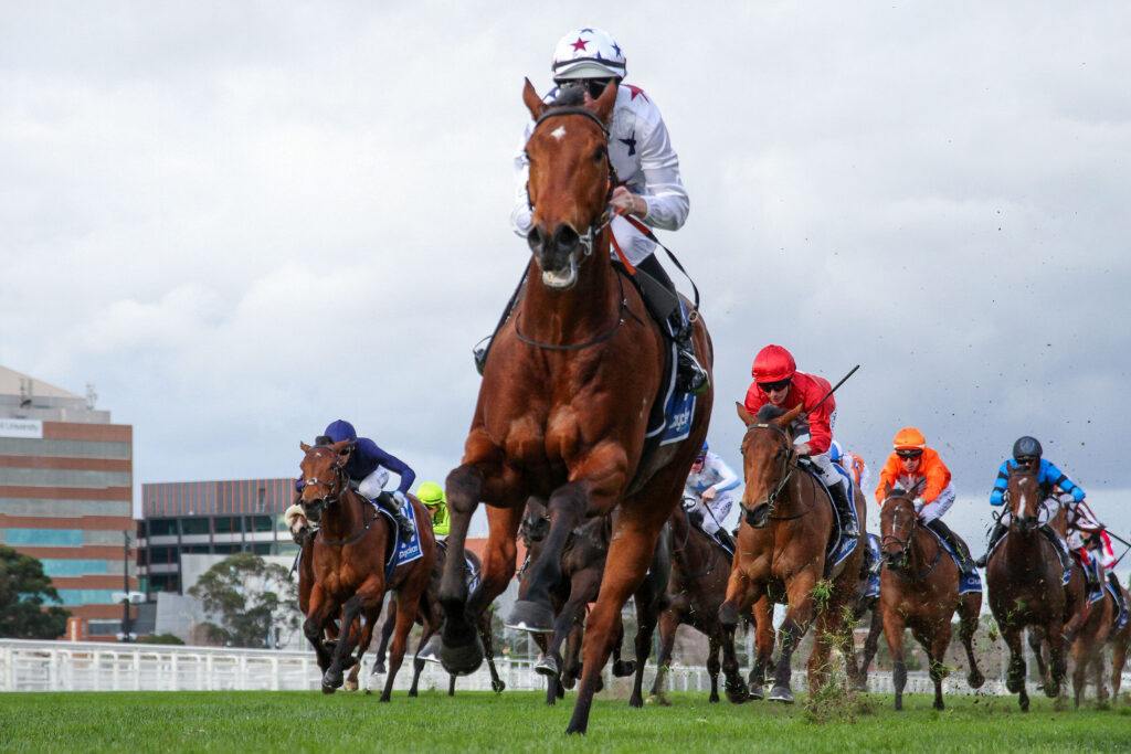 IMG_Natural Fling391 | Just Horse Racing