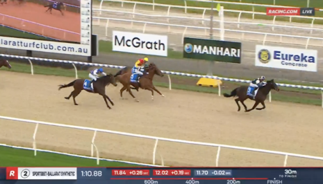 Jimmysstar's brother impresses at Ballarat | Just Horse Racing
