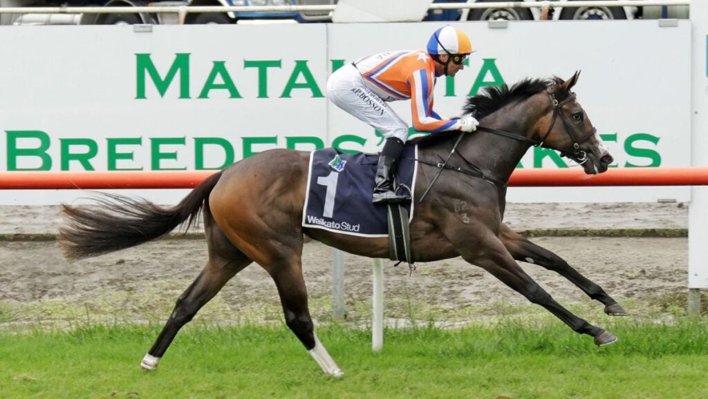 Lara Antipova | Just Horse Racing