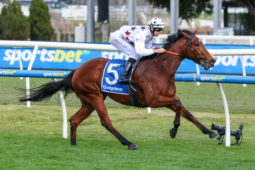 Natural FlingV9ANatural Fling514 | Just Horse Racing