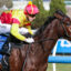 OliveanotherdayV9AOliveanotherday466 | Just Horse Racing