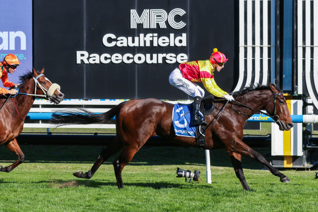 OliveanotherdayV9AOliveanotherday473 | Just Horse Racing