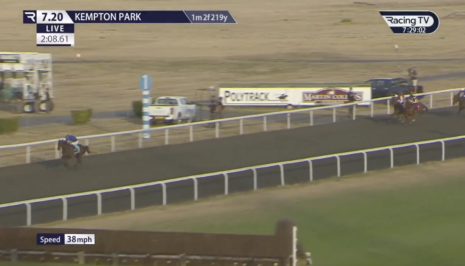 Rebel's Romance's brother wins by 21 lengths on debut | Just Horse Racing