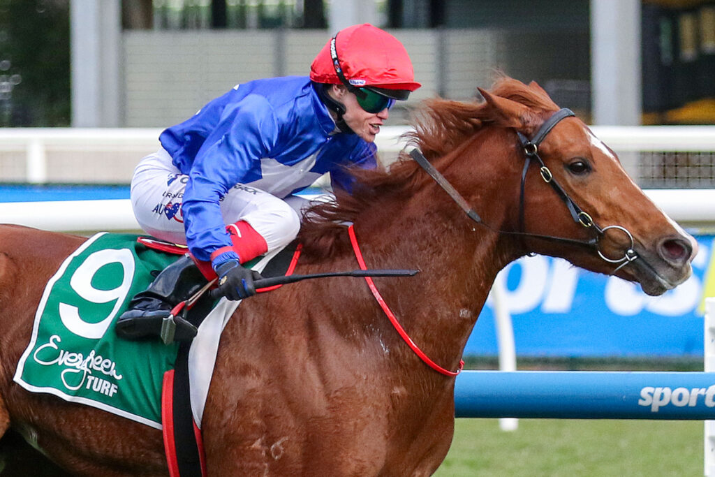 SHADHAVARV9ASHADHAVAR75SHADHAVAR | Just Horse Racing