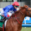 SHADHAVARV9ASHADHAVAR75SHADHAVAR | Just Horse Racing