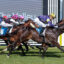 STAKESV9ASTAKESSTAKES64 | Just Horse Racing