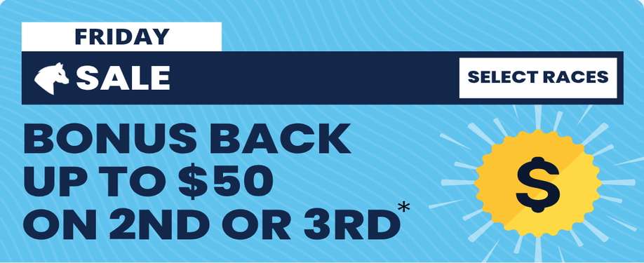 Sale Friday | Just Horse Racing