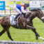 Sir Kingsford | Just Horse Racing