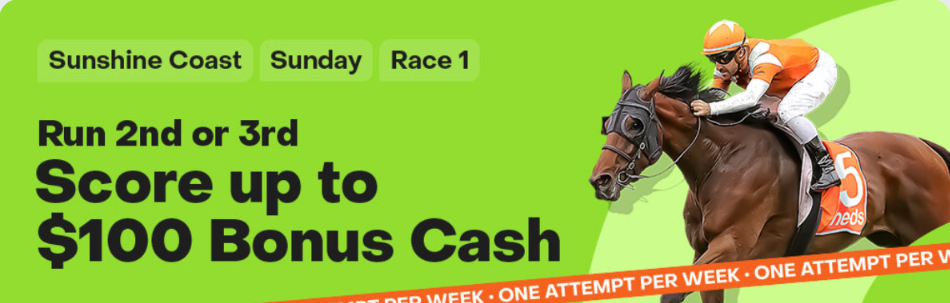 Sunshine Coast race 1 | Just Horse Racing