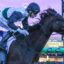TOUCHDOWNV9ATOUCHDOWN584 | Just Horse Racing