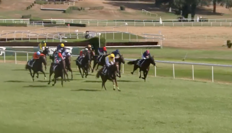 Young jockey cops 15meeting suspension for 'An absolute howler' ride | Just Horse Racing