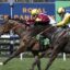 Lord Remlap | Just Horse Racing