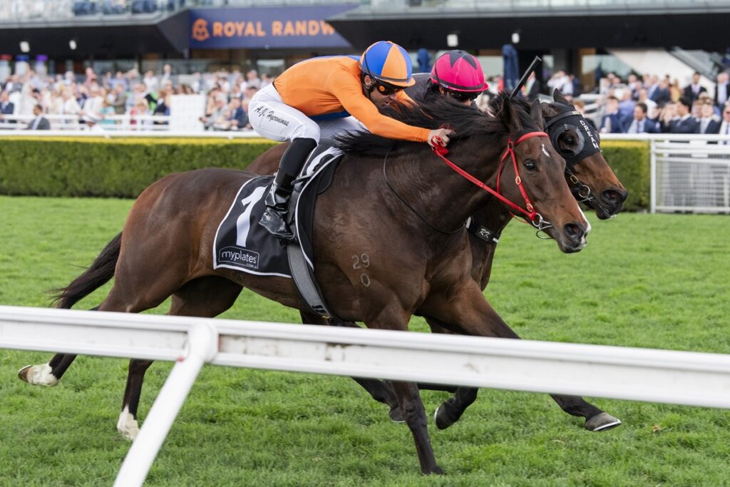 Headley Grange | Just Horse Racing